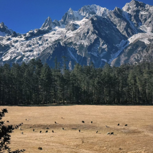 040.嘿，说你呢，不要成为无聊的大人！