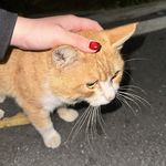 如果能一直学习就好了