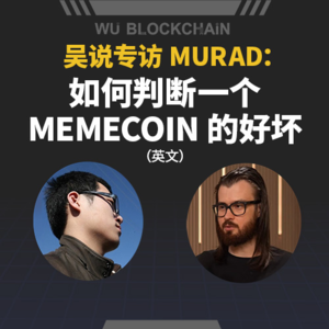 吴说专访 Murad：如何判断一个 memecoin 的好坏（英语）