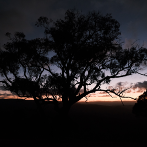 21. 【临时加更&里程碑】做20期播客后的小感悟和对听众的感谢。