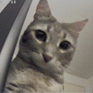 podcaster-avatar