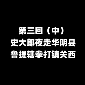 07第三回 史大郎夜走华阴县 鲁提辖拳打镇关西（中）