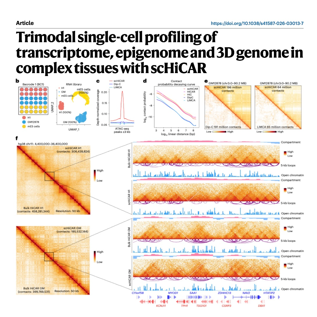 846-scHiCAR: Trimodal Profiling of Gene Regulatory Landscape episode artwork