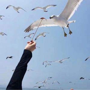 podcaster-avatar