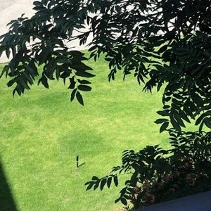 podcaster-avatar