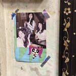 粉红比格俱乐部