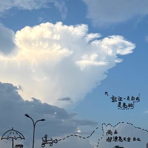 303-下完雨的天空蓝蓝的