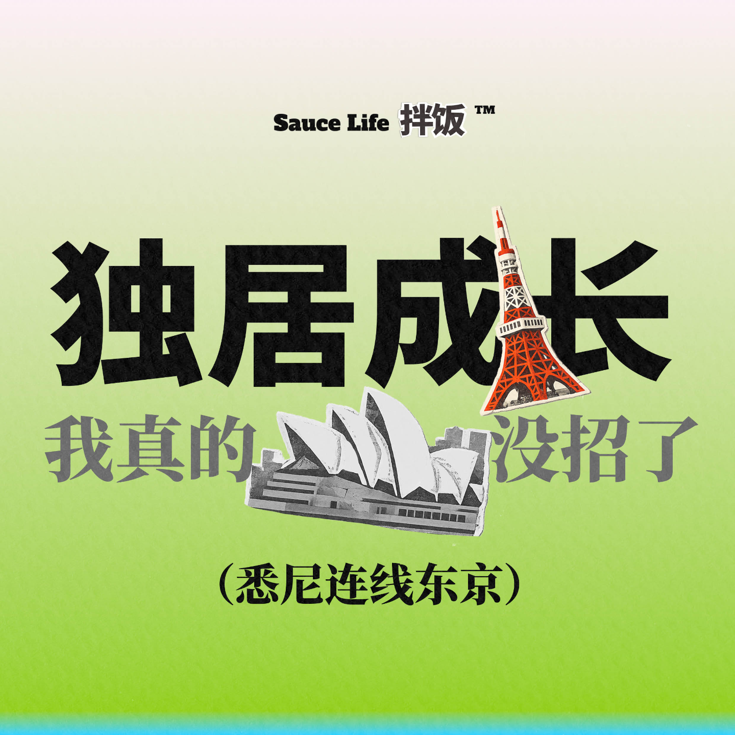 009. 独居整的我没招了，但人不就是这样成长的吗（上） episode artwork