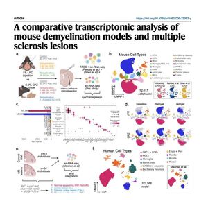 1099-Comparative Transcriptomics of Demyelination Models