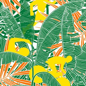 EP066：铁三KONA世锦赛中国女子最好成绩保持者是这位大学老师