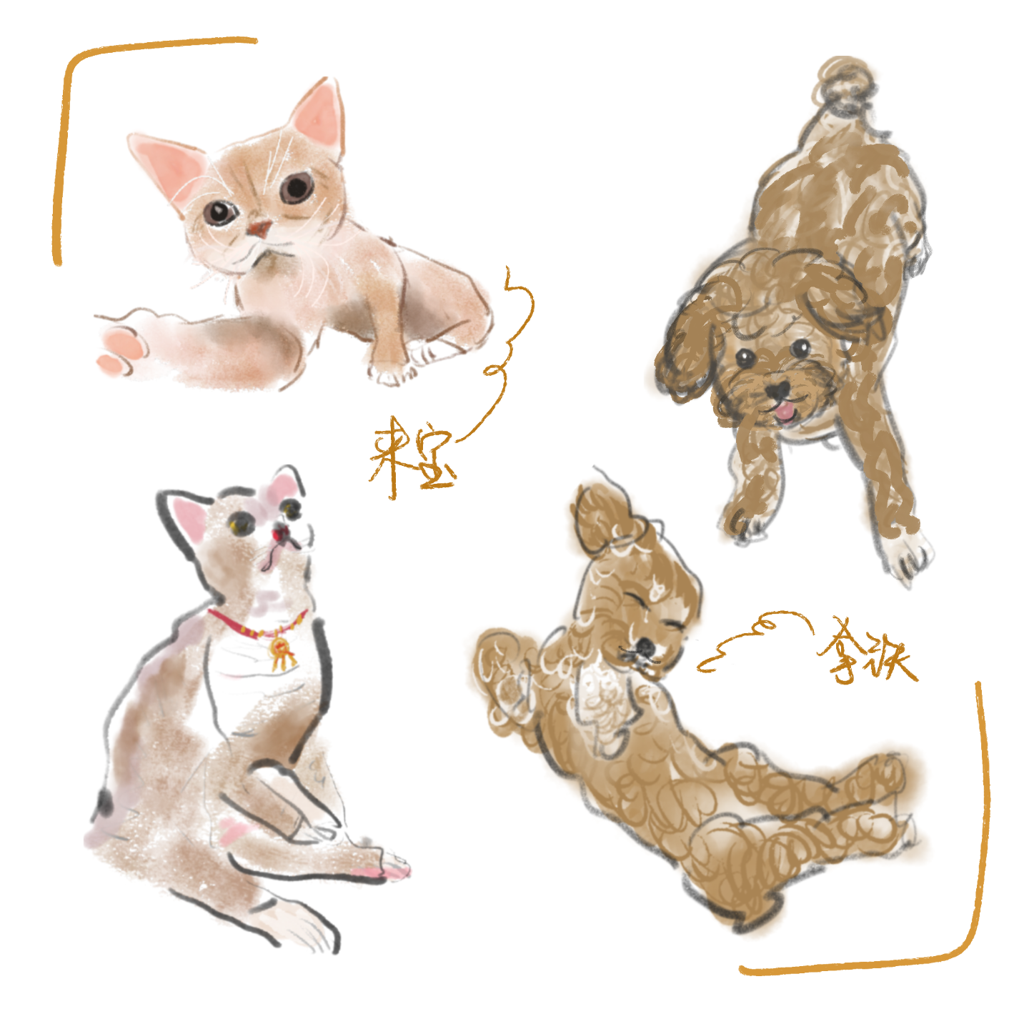 02. 当i人拥有e狗，当e人拥有i猫 episode artwork
