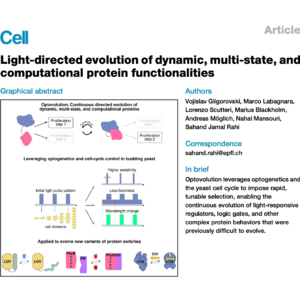 721-Optovolution: Directed Evolution of Multi-State Proteins