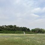 小龙静一