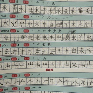 【生活聊天室】EP56 海外孩子学中文，绘本、神器、中文学校……如何快乐学习