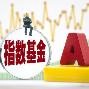 指数基金和对寒武纪类股票的影响