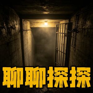 20.哑掉的回响:私定的人间法则--河南洛阳囚禁案