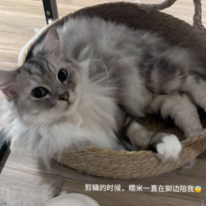 19-君子之交淡如水：友谊的崭新开始！！