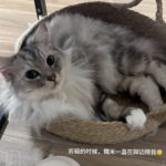 19-君子之交淡如水：友谊的崭新开始！！