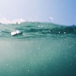 白开水老师