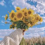 快乐星球特约嘉宾