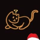 橘色夜猫