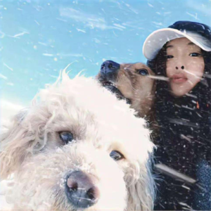 Y09：我的人生目标！