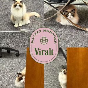 Vivian在哪里34|无需App, 30秒上岗：一个藏在iMessage里的AI经纪人正在接管全球网红生意