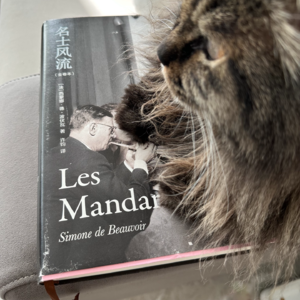 E23《名士风流》（三）：人只能以自己的方式面对生活，也必将以自己的方式面对生活