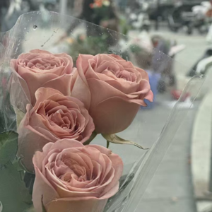 vol.57 阳光平等地照耀所有人：2025那些活着真好的证据