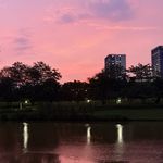 拽拽拽