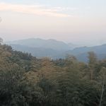 无聊斋今天更新了吗