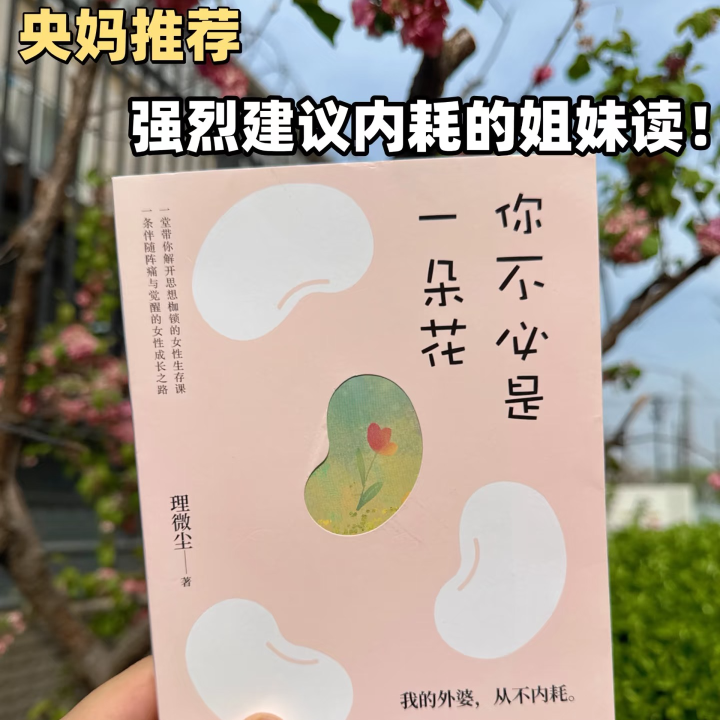 18《我的外婆从不内耗》内耗是理想与现实摩擦的橡皮，终将擦掉真正的自我。 episode artwork