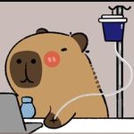 卡皮巴拉正在收听