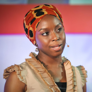 【双语TED】The danger of a single story