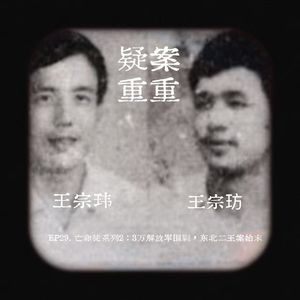 EP29.亡命徒系列2:东北二王案始末 ,新中国第一张悬赏通缉令发布,三万解放军围剿
