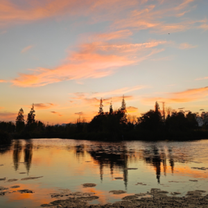 Vol.105 当代婚姻困局：你在用“共生”的逻辑，期待“合伙人”的婚姻？