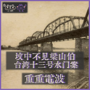 E17.坟中不见梁山伯:台湾十三号水门案