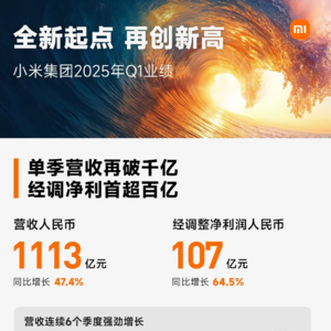 《价值锚点》第七期，小米集团2025年Q1财报解读！