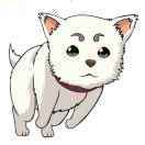 吃葡萄不吐皮_fadA