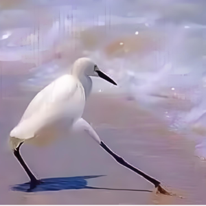 vol.41 走出舒适圈也许很痛苦 但真走出了可能更痛苦