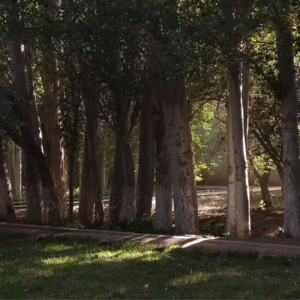 S1E6 大学毕业 “躺平” 两年后，我变幸福了吗？