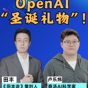 第351集 OpenAI，”圣诞礼物“！