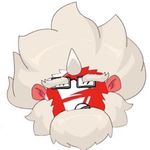 马二_波哥