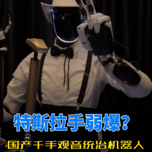 第560集 特斯拉手弱爆？国产千手观音统治机器人