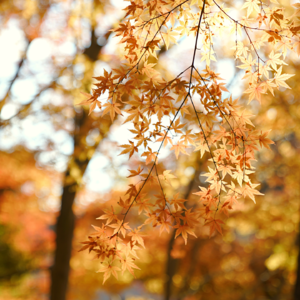 和查克一起聊消费主义,休息耻感和断舍离