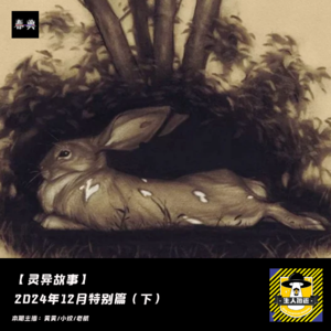 2024年12月特别篇（下）丨灵异故事