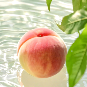 VOL453.如果我真的对云说话，你千万不要见怪，城市是一个几百万人孤独生活的地方。