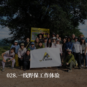 028.你以为的野保vs真实的野保:如果你也想来保护野生动物,听我们说几句真心话