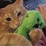 下雨天只想睡觉