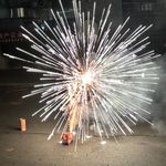 木木_le5V